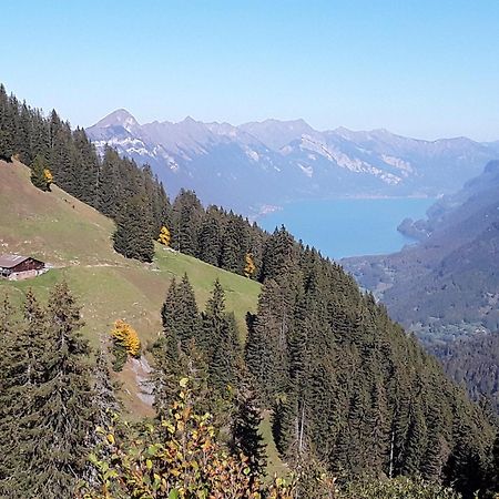 Desalpes Daire Saxeten Dış mekan fotoğraf